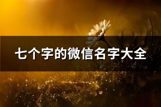 七个字的微信名字大全(共174个)