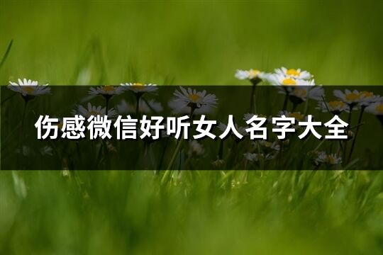 伤感微信好听女人名字大全(501个)