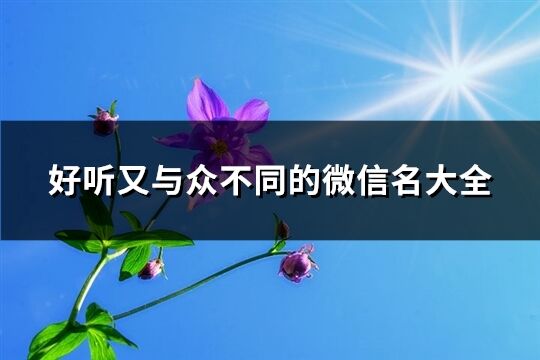 好听又与众不同的微信名大全(优选1033个)