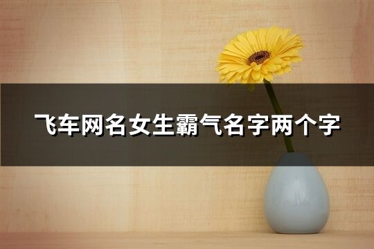 飞车网名女生霸气名字两个字(优选272个)