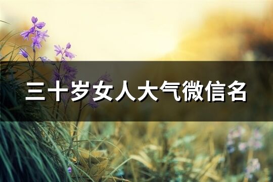 三十岁女***气微信名(共279个)