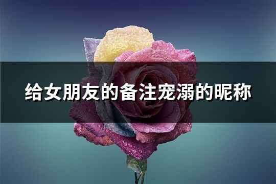 给女朋友的备注宠溺的昵称(精选168个)