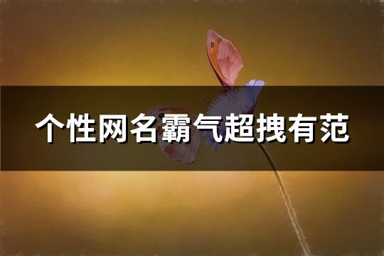 个性网名霸气超拽有范(共378个)