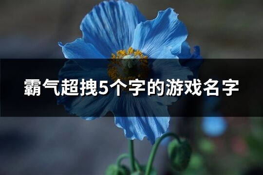霸气超拽5个字的游戏名字(精选712个)