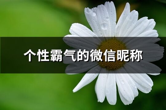 个性霸气的微信昵称(261个)
