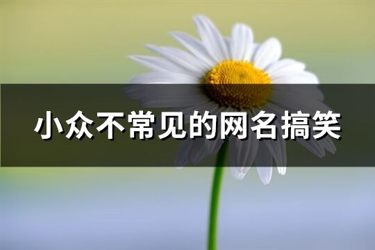 小众不常见的网名搞笑(117个)