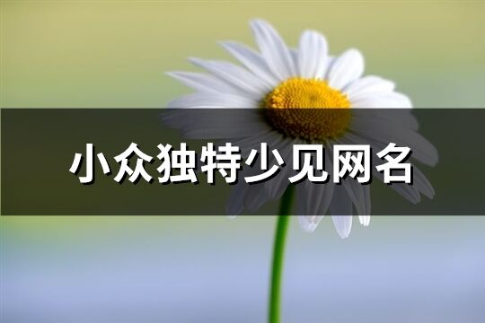 小众独特少见网名(268个)