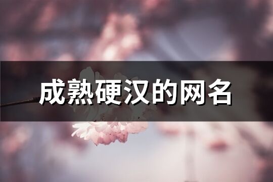 成熟硬汉的网名(173个)