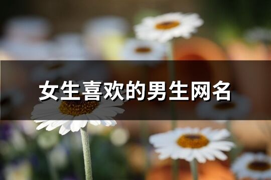 女生喜欢的男生网名(共206个)
