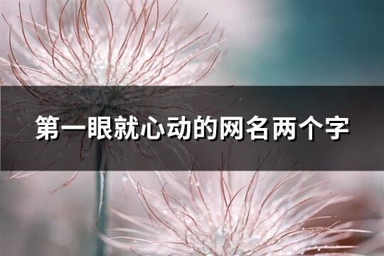 第一眼就心动的网名两个字(优选175个)