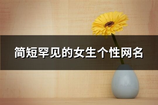 简短罕见的女生个性网名(93个)