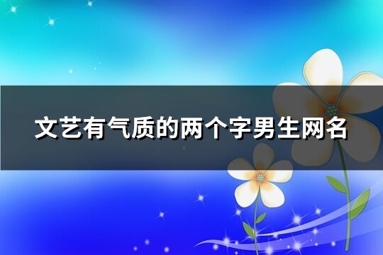 文艺有气质的两个字男生网名(共80个)