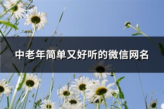中老年简单又好听的微信网名(优选118个)