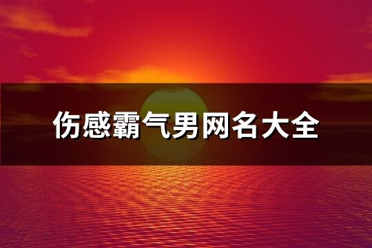 伤感霸气男网名大全(139个)