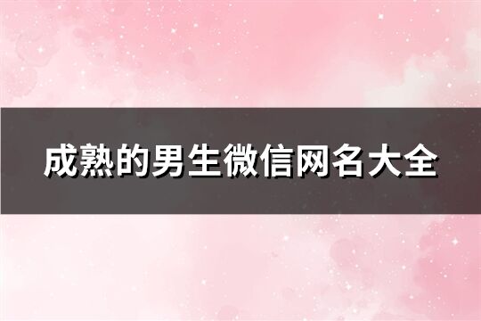 成熟的男生微信网名大全(210个)