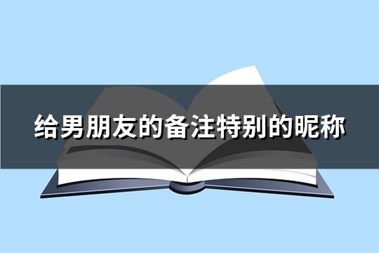 给男朋友的备注特别的昵称(共231个)