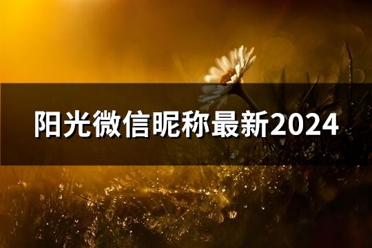 阳光微信昵称最新2024(共89个)