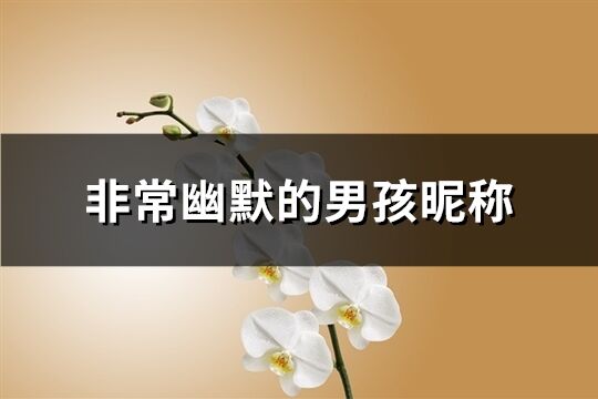 非常幽默的男孩昵称(共196个)