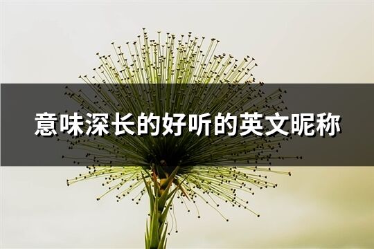 意味深长的好听的英文昵称(161个)