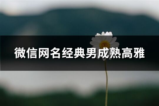 微信网名经典男成熟高雅(共94个)