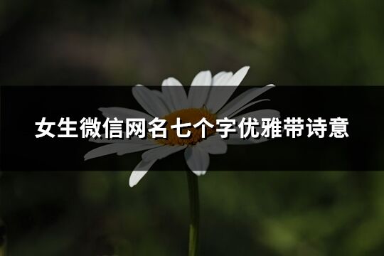 女生微信网名七个字优雅带诗意(共190个)