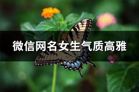 微信网名女生气质高雅(精选190个)