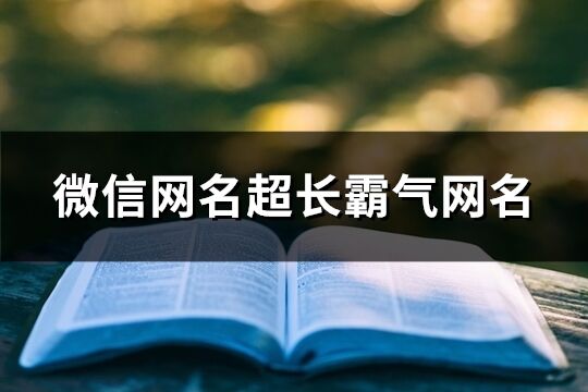 微信网名超长霸气网名(共65个)