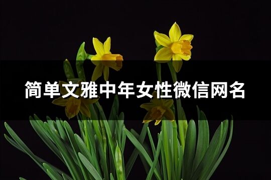 简单文雅中年女性微信网名(共229个)