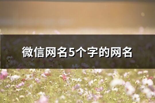微信网名5个字的网名(共106个)