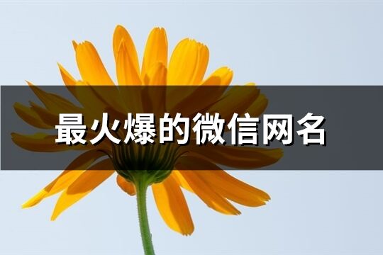 最火爆的微信网名(共242个)