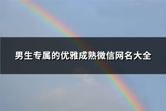 男生专属的优雅成熟微信网名大全(共148个)