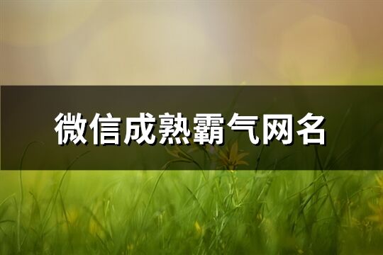 微信成熟霸气网名(共203个)