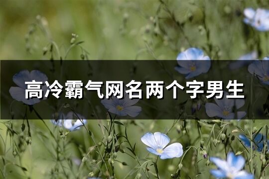 高冷霸气网名两个字男生(175个)