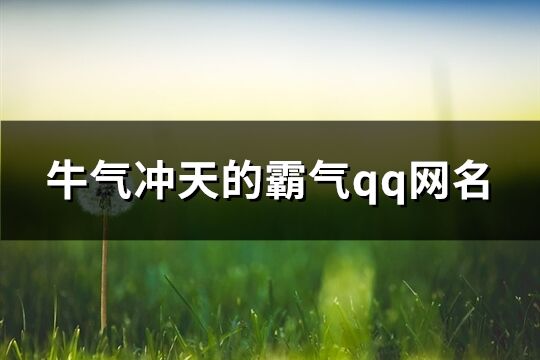 牛气冲天的霸气qq网名(共74个)