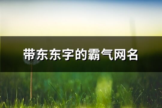 带东东字的霸气网名(共248个)