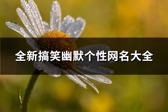 全新搞笑幽默个性网名大全(共577个)