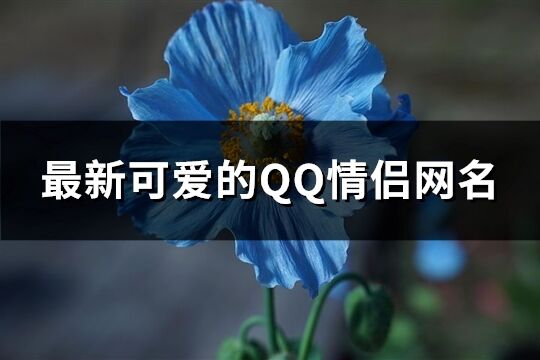 最新可爱的QQ情侣网名(优选136个)
