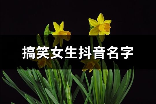 搞笑女生抖音名字(共519个)