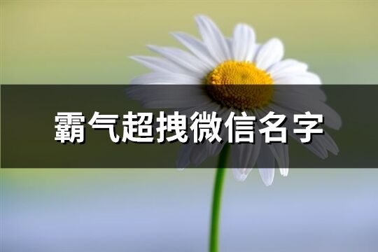 霸气超拽微信名字(726个)