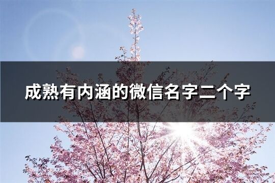 成熟有内涵的微信名字二个字(优选1011个)