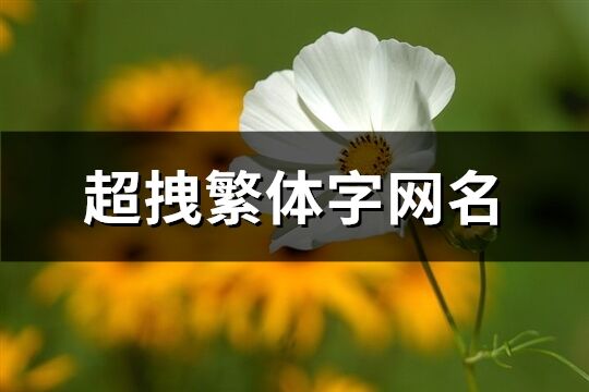 超拽繁体字网名(395个)