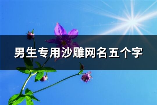 男生专用沙雕网名五个字(精选339个)
