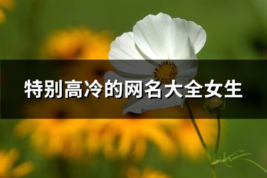 特别高冷的网名大全女生(优选564个)