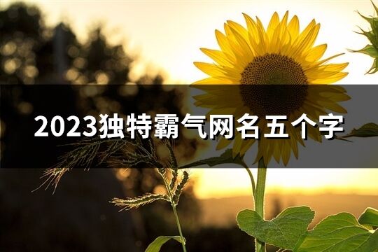 2023独特霸气网名五个字(共360个)