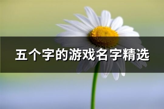 五个字的游戏名字精选(1091个)
