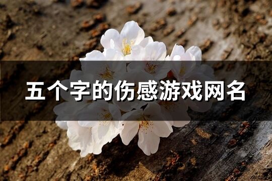 五个字的伤感游戏网名(1182个)