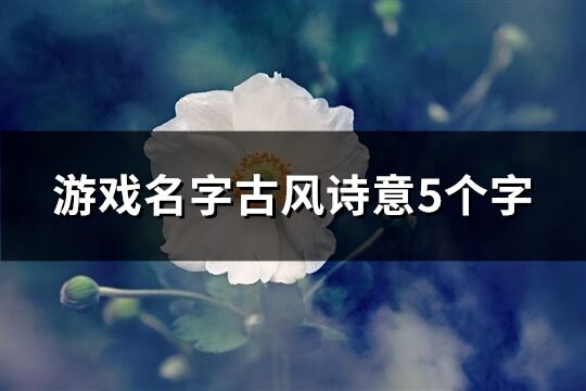 游戏名字古风诗意5个字(共668个)