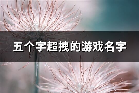 五个字超拽的游戏名字(共551个)