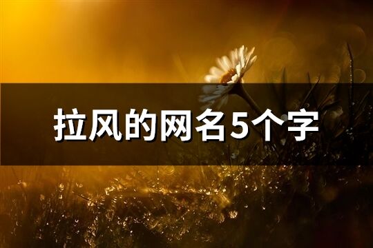 拉风的网名5个字(精选446个)