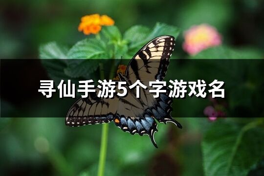 寻仙手游5个字游戏名(共317个)